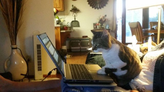 Bildschirmarbeiter - Picdump 05.06.2015