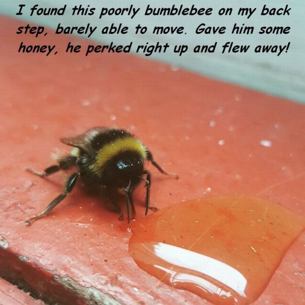 Bildschirmarbeiter - Picdump 05.06.2015