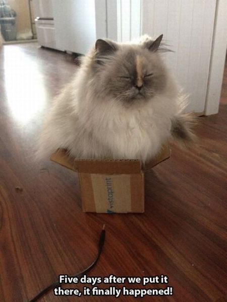 Bildschirmarbeiter - Picdump 05.06.2015