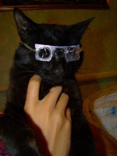 Bildschirmarbeiter - Picdump 05.06.2015