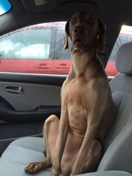 Bildschirmarbeiter - Picdump 05.06.2015