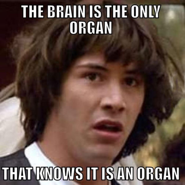 Bildschirmarbeiter - Picdump 05.06.2015