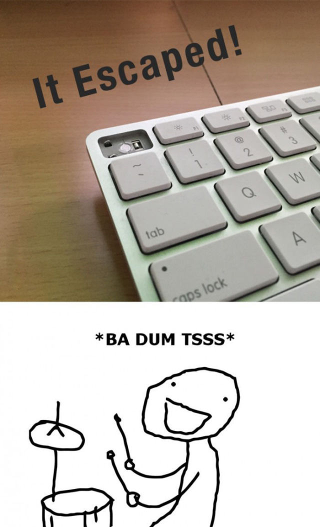 Bildschirmarbeiter - Picdump 05.06.2015