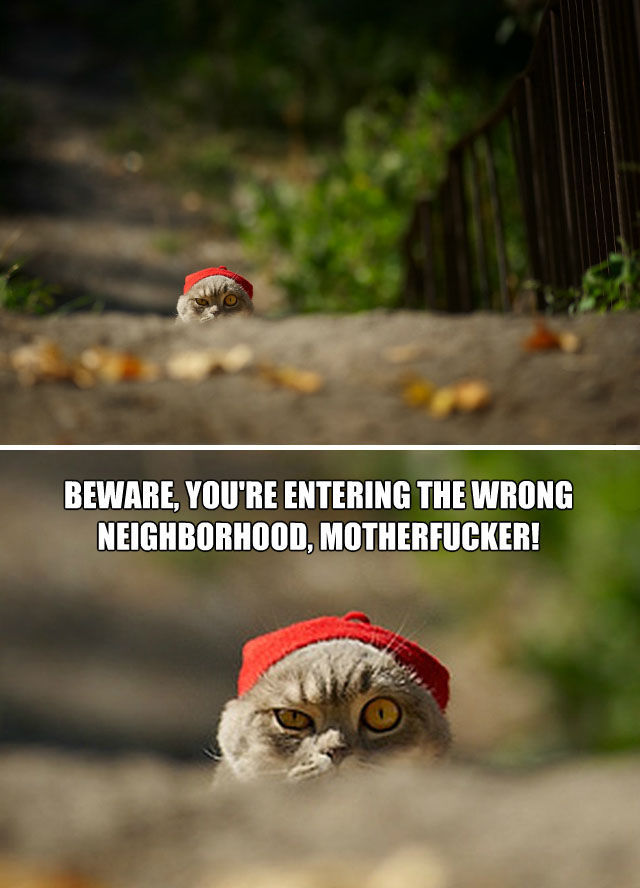 Bildschirmarbeiter - Picdump 05.06.2015