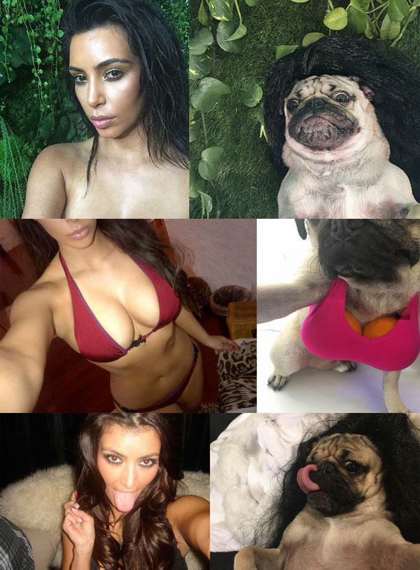 Bildschirmarbeiter - Picdump 05.06.2015