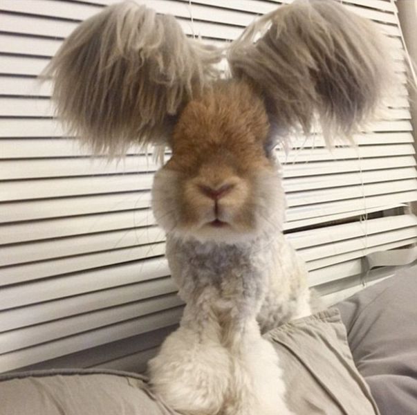 Bildschirmarbeiter - Picdump 05.06.2015