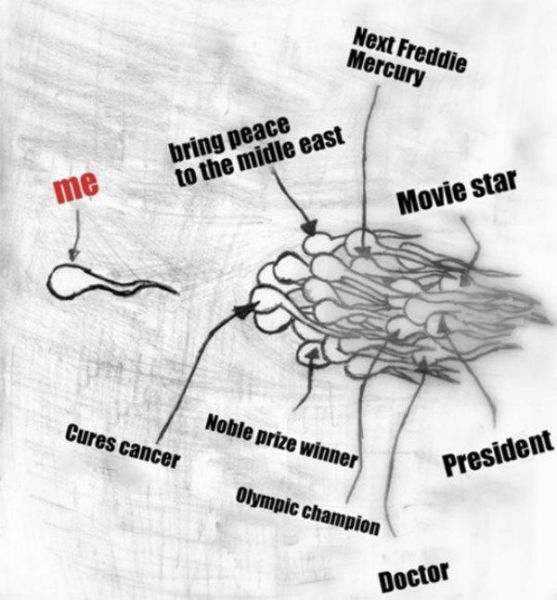 Bildschirmarbeiter - Picdump 05.06.2015