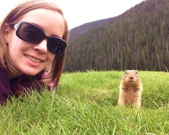 Bildschirmarbeiter - Picdump 05.06.2015