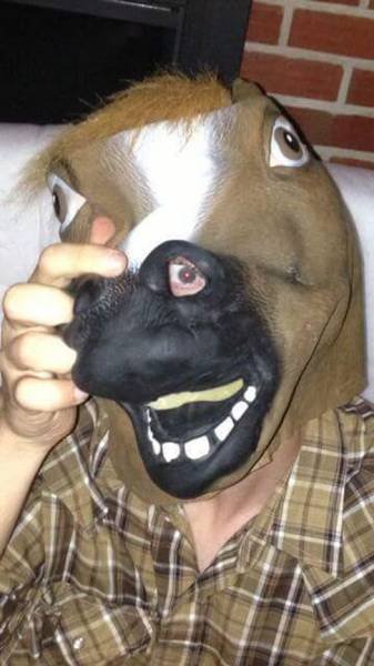 Bildschirmarbeiter - Picdump 26.06.2015