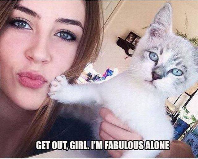 Bildschirmarbeiter - Picdump 26.06.2015