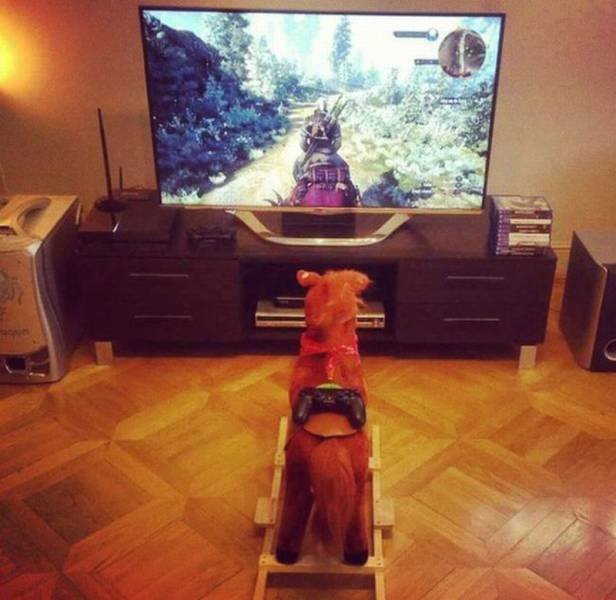 Bildschirmarbeiter - Picdump 26.06.2015