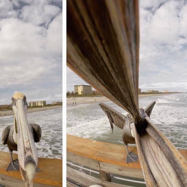 Bildschirmarbeiter - Picdump 26.06.2015