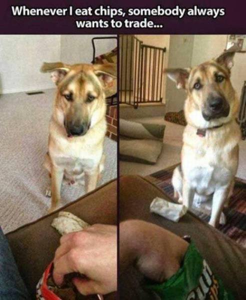 Bildschirmarbeiter - Picdump 26.06.2015