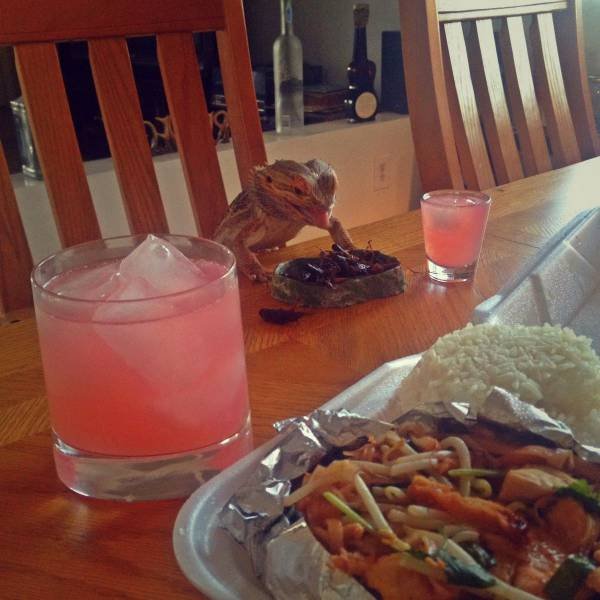 Bildschirmarbeiter - Picdump 26.06.2015