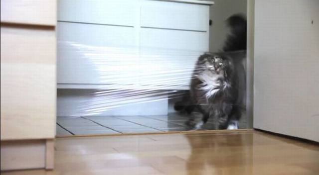 Bildschirmarbeiter - Picdump 26.06.2015