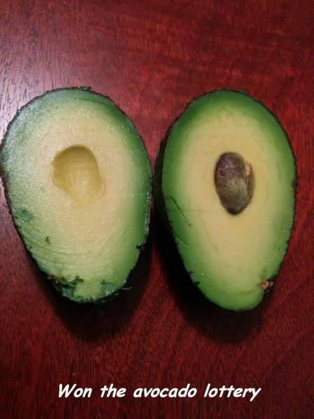 Bildschirmarbeiter - Picdump 26.06.2015