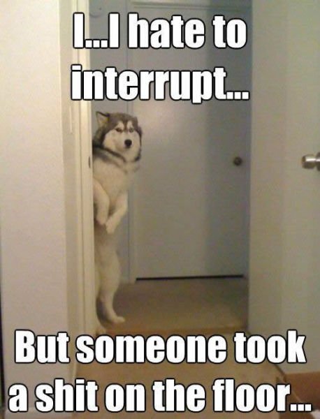 Bildschirmarbeiter - Picdump 26.06.2015