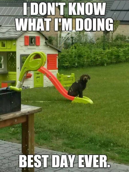 Bildschirmarbeiter - Picdump 26.06.2015