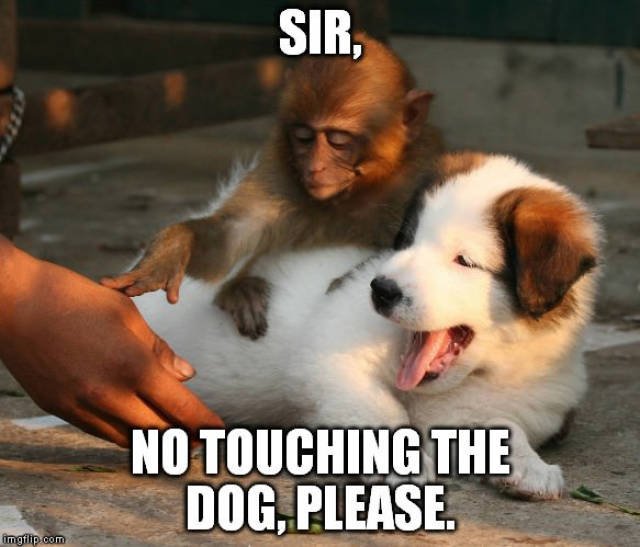 Bildschirmarbeiter - Picdump 26.06.2015