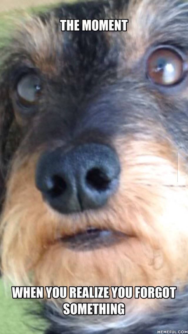 Bildschirmarbeiter - Picdump 26.06.2015