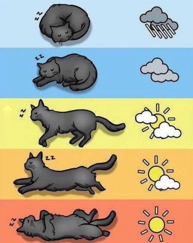 Bildschirmarbeiter - Picdump 26.06.2015