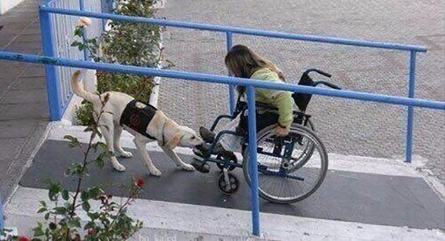 Bildschirmarbeiter - Picdump 26.06.2015