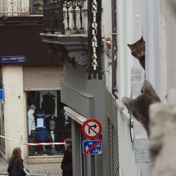 Bildschirmarbeiter - Picdump 26.06.2015