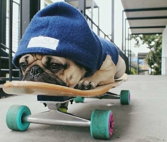 Bildschirmarbeiter - Picdump 26.06.2015