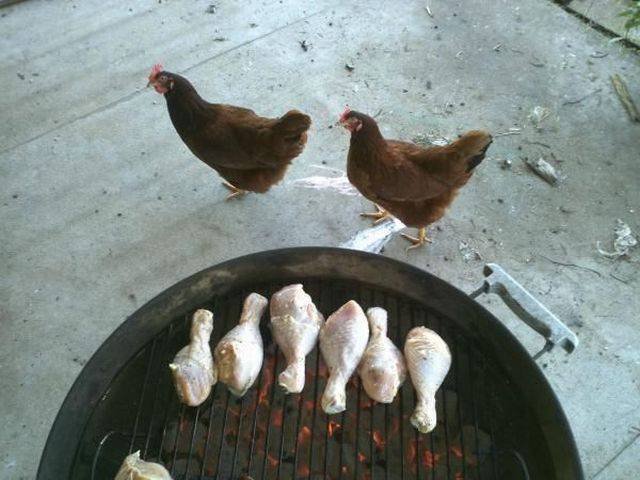 Bildschirmarbeiter - Picdump 10.07.2015