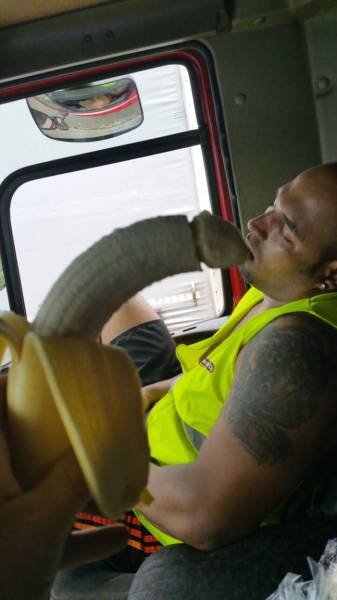 Bildschirmarbeiter - Picdump 10.07.2015