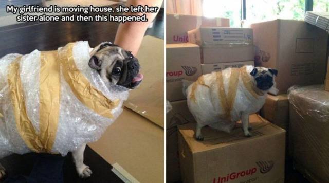 Bildschirmarbeiter - Picdump 10.07.2015