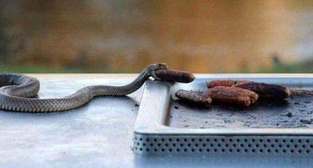 Bildschirmarbeiter - Picdump 10.07.2015