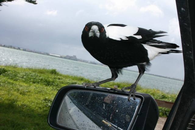 Bildschirmarbeiter - Picdump 10.07.2015