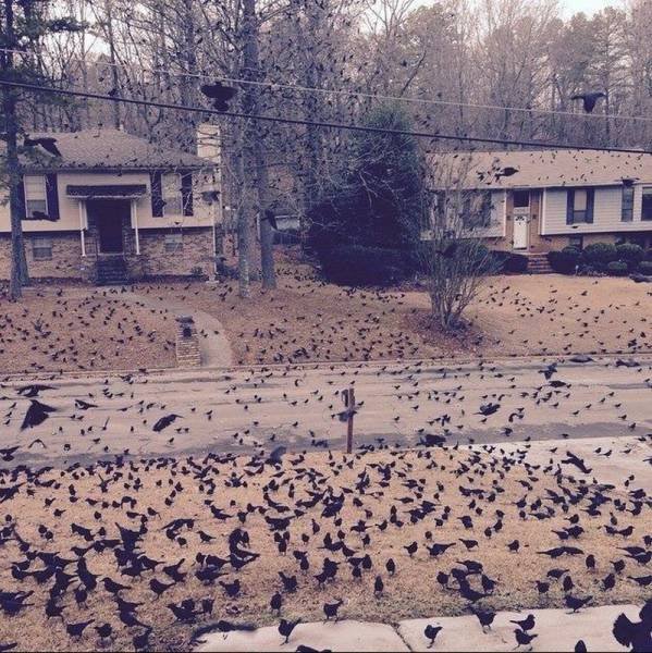 Bildschirmarbeiter - Picdump 10.07.2015