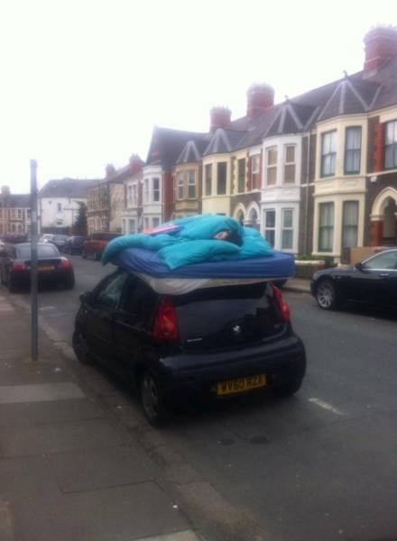 Bildschirmarbeiter - Picdump 10.07.2015