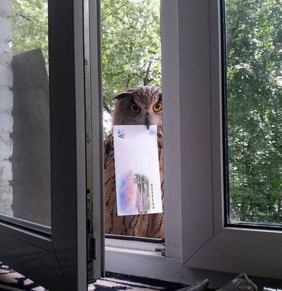 Bildschirmarbeiter - Picdump 10.07.2015