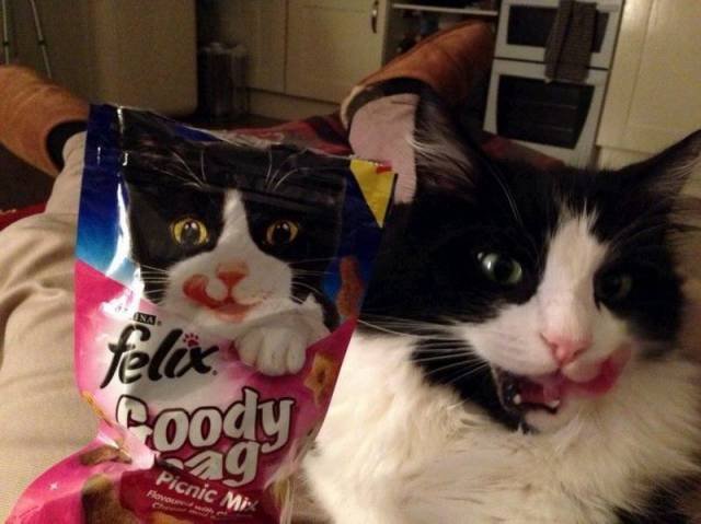 Bildschirmarbeiter - Picdump 10.07.2015