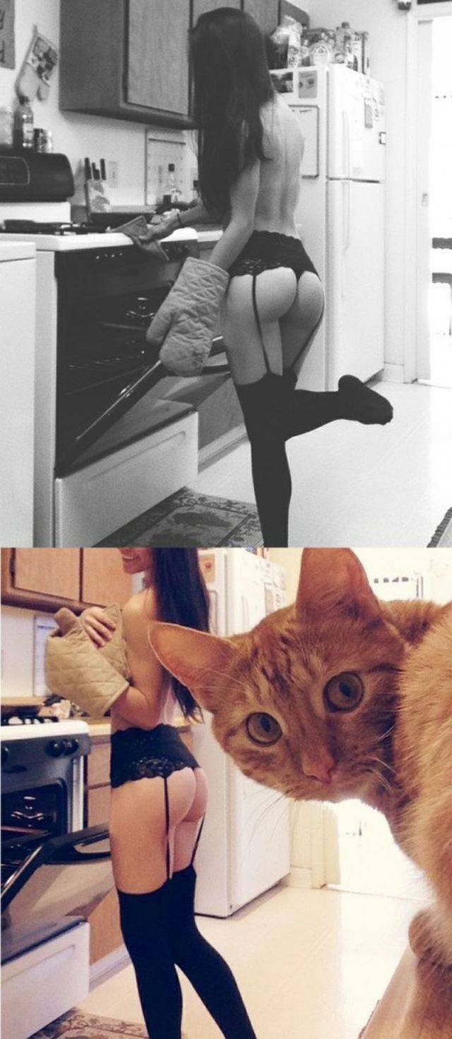 Bildschirmarbeiter - Picdump 10.07.2015