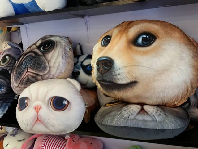 Bildschirmarbeiter - Picdump 10.07.2015