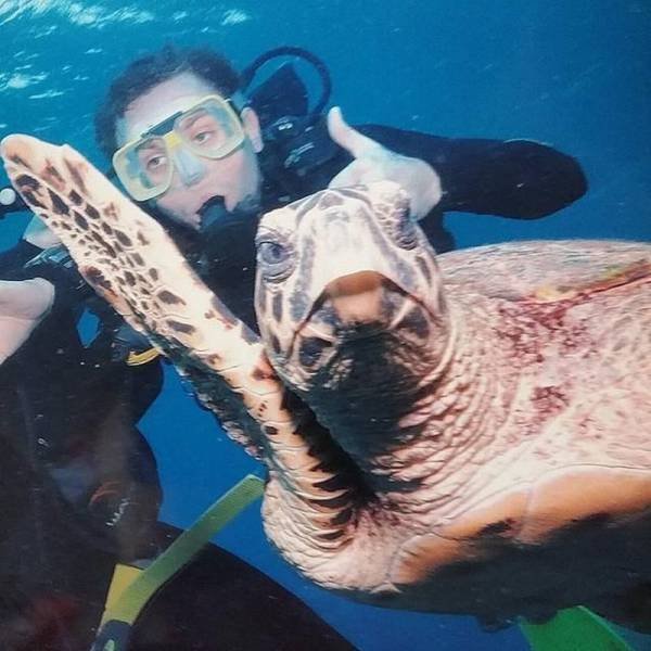 Bildschirmarbeiter - Picdump 17.07.2015