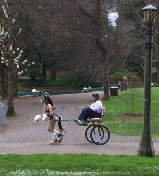 Bildschirmarbeiter - Picdump 17.07.2015