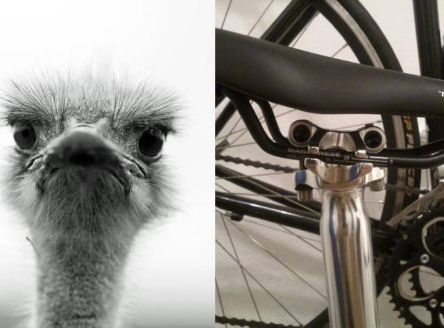 Bildschirmarbeiter - Picdump 17.07.2015