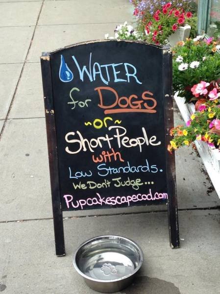 Bildschirmarbeiter - Picdump 17.07.2015