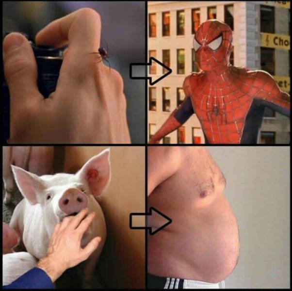 Bildschirmarbeiter - Picdump 17.07.2015