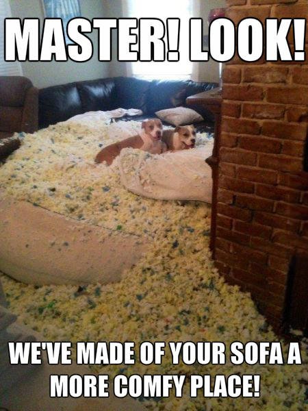 Bildschirmarbeiter - Picdump 17.07.2015