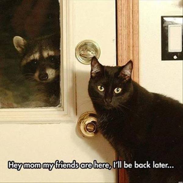 Bildschirmarbeiter - Picdump 17.07.2015