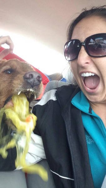 Bildschirmarbeiter - Picdump 17.07.2015