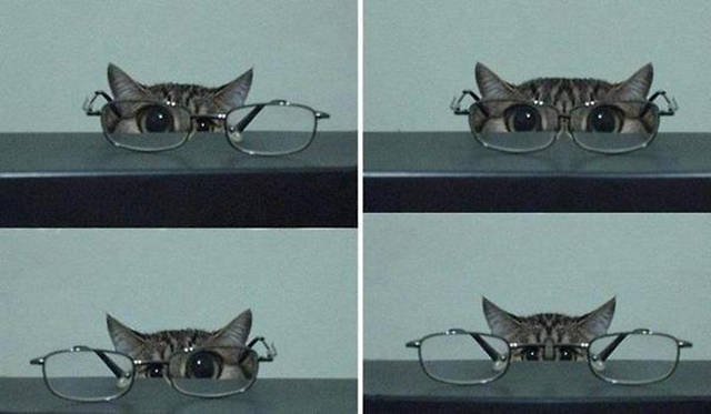 Bildschirmarbeiter - Picdump 17.07.2015