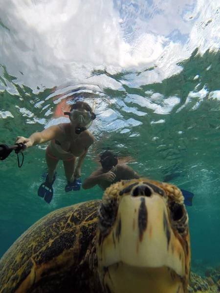 Bildschirmarbeiter - Picdump 24.07.2015