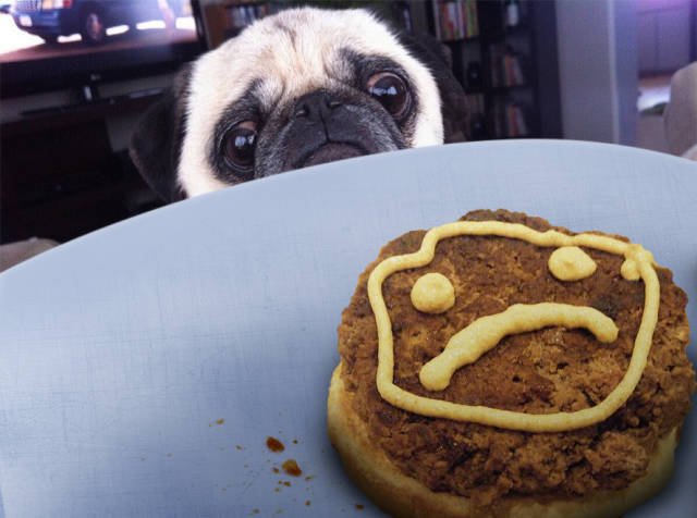 Bildschirmarbeiter - Picdump 24.07.2015